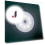Motion Sensor LED Light — Night Lights, Molly Show