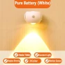 LED Motion Sensor Wall Light — Night Lights, AE Selection