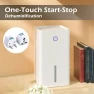 Mini Electric Air Dehumidifier — Air Moisture Control, Home Of Auto Parts