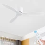 Modern Fan with Quiet DC Motor — Ceiling Fans, Seahorse Home