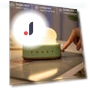 3D Capybara Lamp — Creative Lighting Solutions, Super shoes Mall