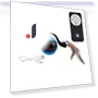 Interactive Cat Ball with Feather Tails and Sound — Cat Playthings, World Auto Parts