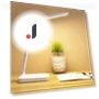 LED Desk Lamp with Eye Protection — Study & Desk Lighting, Pawell