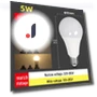 Multicolor LED Bulb — LED, AI Supermarket
