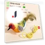 Interactive Cat Toys — Cat Playthings, JINGYUE Pet