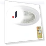 Smart Ceiling Fan 3-in-1 with Remote Control — Ceiling Fans, Chic Interiors