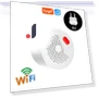 Smart Wi-Fi Natural Gas Leak Detector — Gas Safety Equipment, X-REAKO Global Car Radio