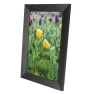 10.1-inch Digital Photo Frame with WiFi and Touchscreen IPS Display — Digital Frames, DIYelecs