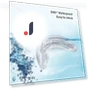 4-in-1 Teeth Whitening Kit with Timer — Bright Smile Solutions, Margin Fades
