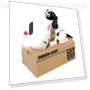 Automated Piggy Bank — Savings & Piggy Banks, HOME LOVER