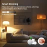Smart Light Bulb — LED, Linkind
