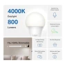 Thumbnail Smart Light Bulbs - Natural Daylight, Dimmable, Compatible with Alexa and Google Home, A60 Bulb/E27 Base, 60W... — Smart Light Bulb, Tapo