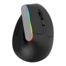 Wireless Silent Ergonomic Vertical Gaming Mouse — Mouse Pads, Delux
