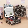 Smart LED Cosmetic Bag with Mirror — Cosmetic Cases, LIN-Home