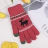 Double-Layered Thickened Velvet Winter Warm Gloves with Touchscreen — Gloves, Outdoor Boutique TOP