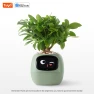 Smart Life Planter — Smart Home Modules, Build My Home