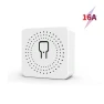 WiFi Smart Switch with Remote Voice Control — Smart Home Modules, Red dress