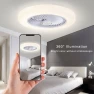 Smart Ceiling Fan with Light — Ceiling Fan Wall Controls, Decor Dream