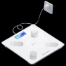 Smart Body Fat Scale — Body Composition Analysis, Yangzi