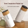 Smart Temperature Display Stainless Steel Thermos Cup — Flasks, YIYUEQIANLI