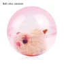 Electronic Hamster in Rolling Balls — Exercise Wheels, Argon