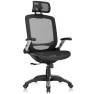 Thumbnail Ergonomic Office Chair with Headrest, Flip-Up Arms, and Wide Cushion — Desk Chairs, GABRYLLY