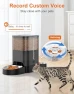 Thumbnail Automatic Cat Feeder for Two Cats — Automatic Feeders, HoneyGuaridan