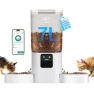 Thumbnail Automatic Pet Feeder with Dual Bowls and Slow Feed — Automatic Feeders, Frienhund