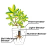 Thumbnail Plant Water Monitor — Moisture Detection Tools, Sinbeda