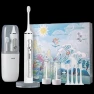 Smart Sonic Electric Toothbrush — Sonic Electric Toothbrushes, Baier