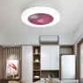 Smart Ceiling Fan with Light — Ceiling Fan Lighting Solutions, Ideal World