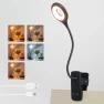LED Reading Lamp with Clip — Book Lights, IN HOME