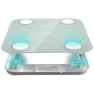 Smart Bluetooth Body Fat Scale — Weight Management Tools, Little Bear