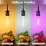 Thumbnail Color Changing WiFi Smart Light Bulb — Incandescent, DiCUNO