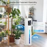 Thumbnail Large Room Smart Humidifier with Diffuser and Ambient Lights — Air Moisturizers, Hiswelle