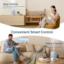 Thumbnail Smart Humidifier with App Control, Top Fill Design, and Essential Oil Diffuser — Air Moisturizers, LEVOIT