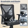 Thumbnail Ergonomic Office Chair — Desk Chairs, MOLENTS