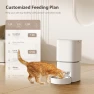 Thumbnail Automatic Cat Feeder — Automatic Feeders, DUDUPET