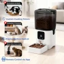 Thumbnail Automatic Cat Food Dispenser with Slow Feeding Mode — Automatic Feeders, PAPIFEED
