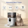 Thumbnail Automatic Pet Feeder with Voice Recorder — Automatic Feeders, ANDOLL HOME
