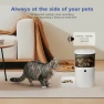 Thumbnail Automatic Pet Feeder with Voice Recorder — Automatic Feeders, ANDOLL HOME
