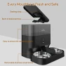 Thumbnail Automatic WiFi Pet Feeder for 2 Pets — Automatic Feeders, iPettie