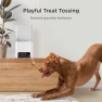 Thumbnail Interactive WiFi Pet Monitoring Camera with Treat Dispenser — Cameras & Monitors, Petcube