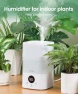 Thumbnail Smart Humidifier with Customizable Humidity Control — Air Moisturizers, Pharata