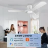 Thumbnail Smart Low Profile Ceiling Fan with Lights — Ceiling Fans & Accessories, Hoenofly