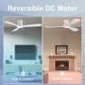 Thumbnail Smart Low Profile Ceiling Fan with Lights — Ceiling Fans & Accessories, Hoenofly