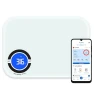 Thumbnail Digital Kitchen Food Scale with App — Weight Management Tools, NEXTLEVEL FIT