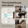 Thumbnail AI Pet Camera Indoor with Phone App — Cameras & Monitors, PETLIBRO