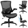 Thumbnail Ergonomic Desk Chair with Adjustable Lumbar Support and Flip-up Arms — Desk Chairs, X XISHE