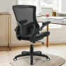 Thumbnail Ergonomic Desk Chair with Adjustable Lumbar Support and Flip-up Arms — Desk Chairs, X XISHE